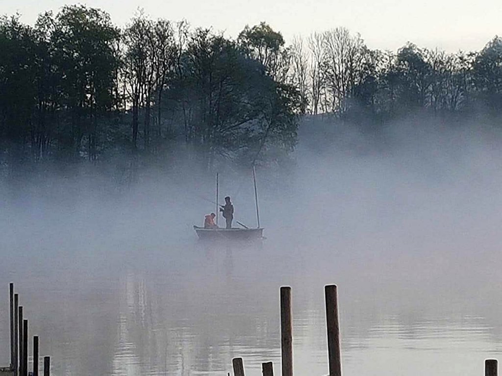 nebelschwadenamfrhenmorgen.jpg