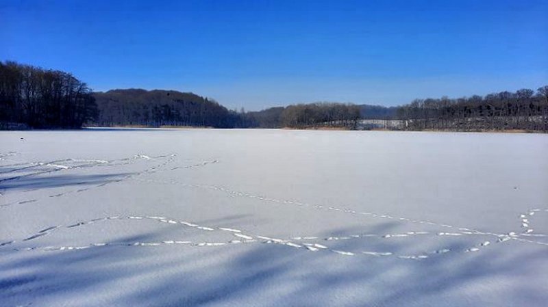 schneelandschaft.jpg