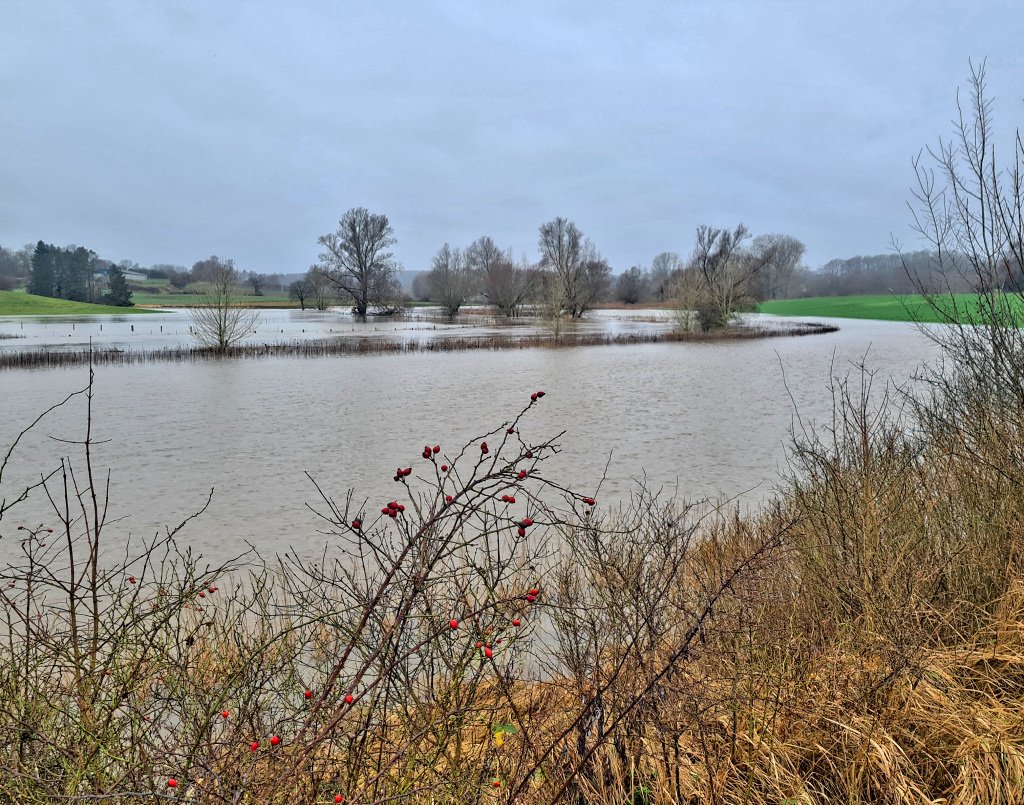 seenplatte.jpg