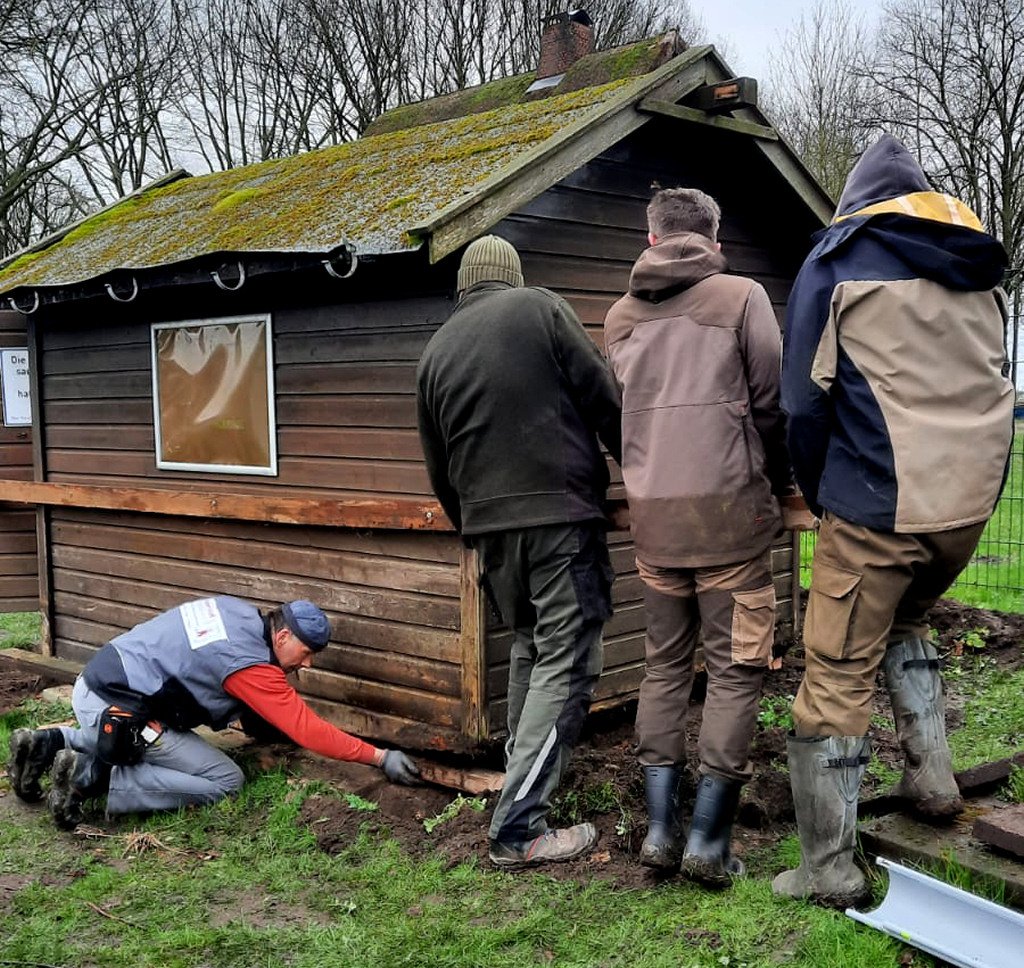 derschuppenangehobenumdasfundamentneuzubefestigen.jpg